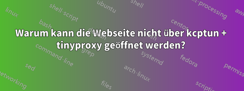 Warum kann die Webseite nicht über kcptun + tinyproxy geöffnet werden?