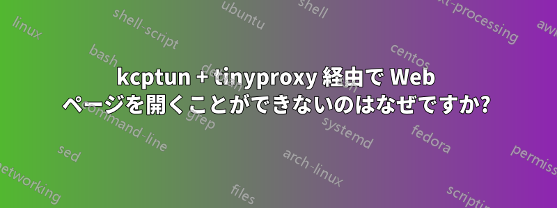 kcptun + tinyproxy 経由で Web ページを開くことができないのはなぜですか?