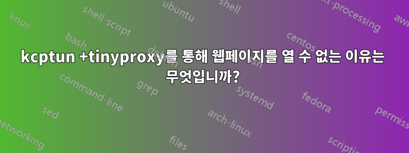 kcptun +tinyproxy를 통해 웹페이지를 열 수 없는 이유는 무엇입니까?