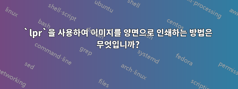 `lpr`을 사용하여 이미지를 양면으로 인쇄하는 방법은 무엇입니까?