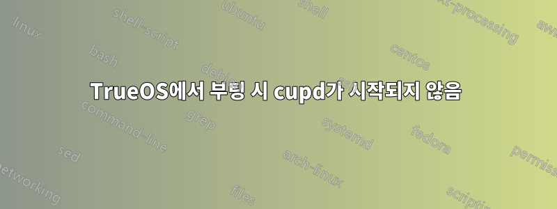 TrueOS에서 부팅 시 cupd가 시작되지 않음