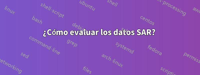 ¿Cómo evaluar los datos SAR?