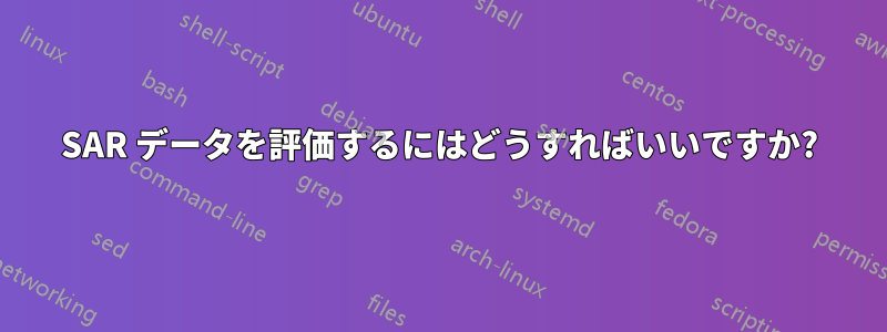 SAR データを評価するにはどうすればいいですか?