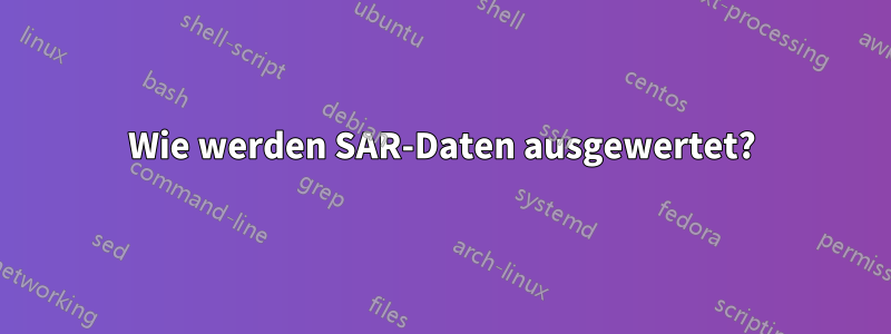 Wie werden SAR-Daten ausgewertet?