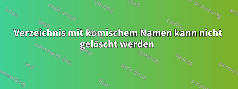 Verzeichnis mit komischem Namen kann nicht gelöscht werden 