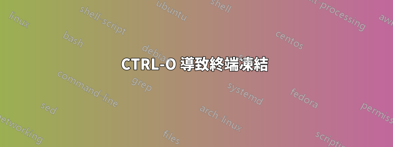 CTRL-O 導致終端凍結