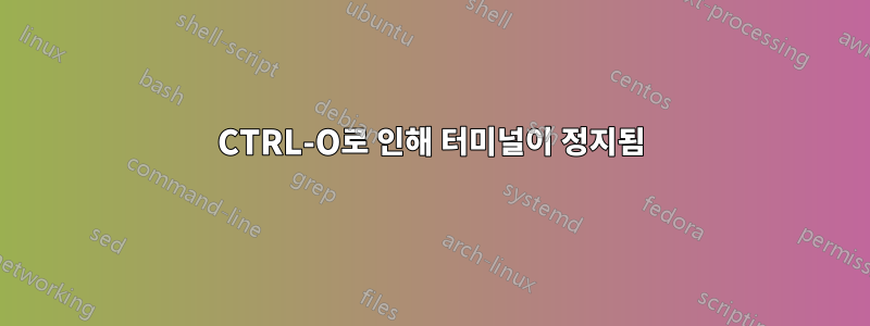 CTRL-O로 인해 터미널이 정지됨