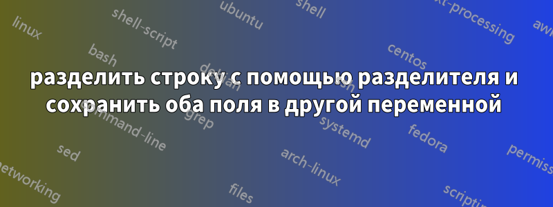 разделить строку с помощью разделителя и сохранить оба поля в другой переменной