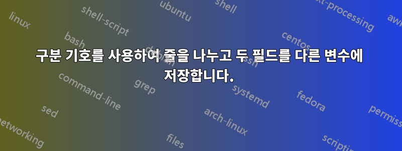 구분 기호를 사용하여 줄을 나누고 두 필드를 다른 변수에 저장합니다.