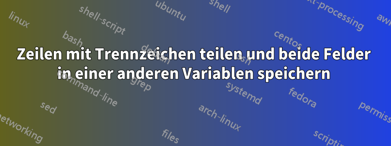 Zeilen mit Trennzeichen teilen und beide Felder in einer anderen Variablen speichern