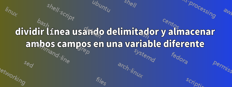 dividir línea usando delimitador y almacenar ambos campos en una variable diferente