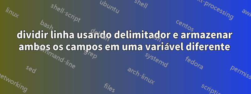 dividir linha usando delimitador e armazenar ambos os campos em uma variável diferente