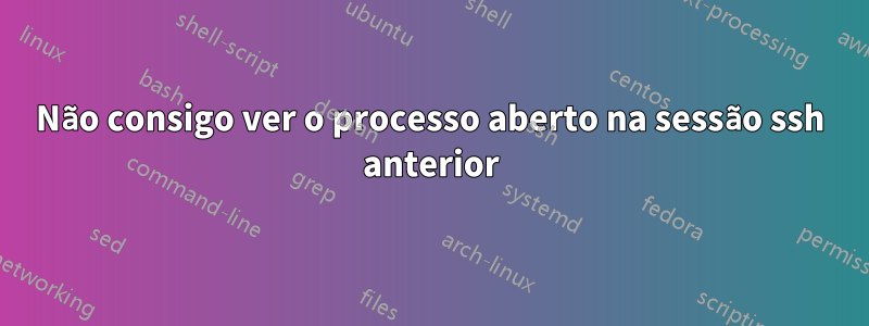 Não consigo ver o processo aberto na sessão ssh anterior