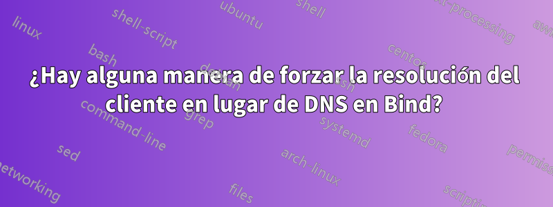 ¿Hay alguna manera de forzar la resolución del cliente en lugar de DNS en Bind?