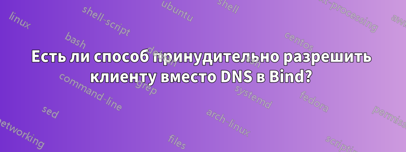 Есть ли способ принудительно разрешить клиенту вместо DNS в Bind?