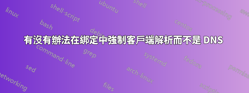 有沒有辦法在綁定中強制客戶端解析而不是 DNS