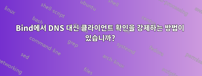 Bind에서 DNS 대신 클라이언트 확인을 강제하는 방법이 있습니까?