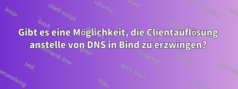 Gibt es eine Möglichkeit, die Clientauflösung anstelle von DNS in Bind zu erzwingen?