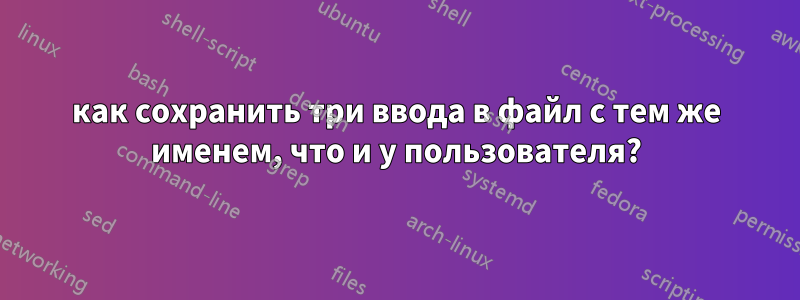 как сохранить три ввода в файл с тем же именем, что и у пользователя?