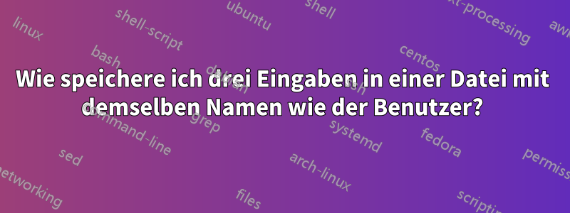 Wie speichere ich drei Eingaben in einer Datei mit demselben Namen wie der Benutzer?