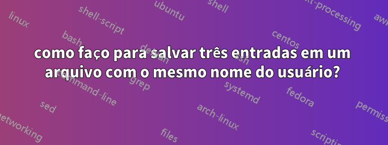 como faço para salvar três entradas em um arquivo com o mesmo nome do usuário?