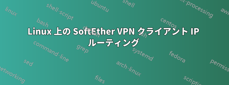 Linux 上の SoftEther VPN クライアント IP ルーティング