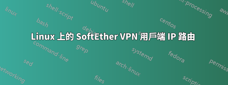 Linux 上的 SoftEther VPN 用戶端 IP 路由