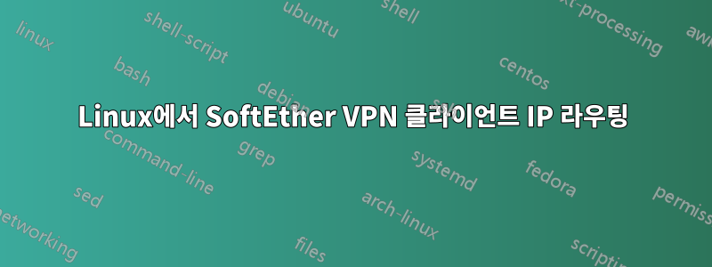 Linux에서 SoftEther VPN 클라이언트 IP 라우팅