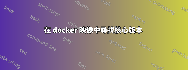 在 docker 映像中尋找核心版本