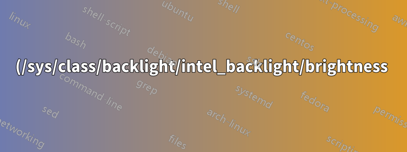 (/sys/class/backlight/intel_backlight/brightness) に非整数値
