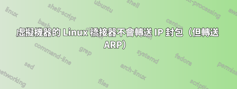 虛擬機器的 Linux 橋接器不會轉送 IP 封包（但轉送 ARP）