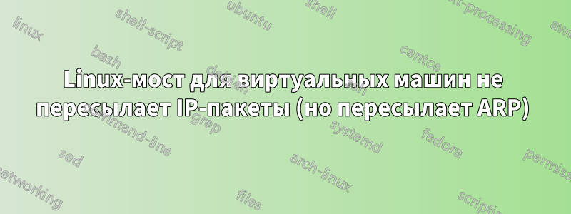 Linux-мост для виртуальных машин не пересылает IP-пакеты (но пересылает ARP)