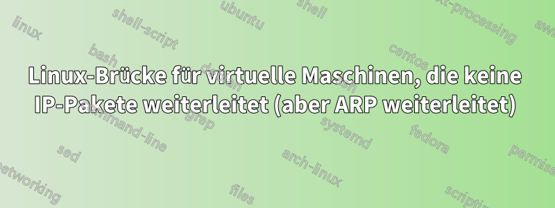 Linux-Brücke für virtuelle Maschinen, die keine IP-Pakete weiterleitet (aber ARP weiterleitet)