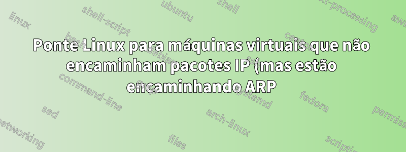Ponte Linux para máquinas virtuais que não encaminham pacotes IP (mas estão encaminhando ARP)