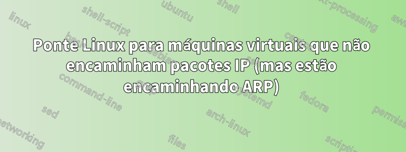 Ponte Linux para máquinas virtuais que não encaminham pacotes IP (mas estão encaminhando ARP)