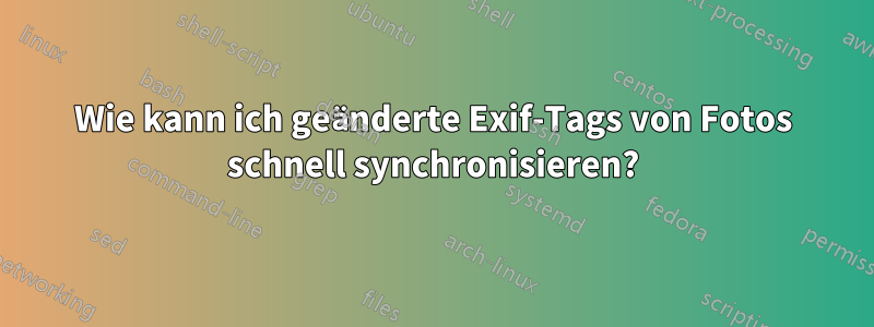 Wie kann ich geänderte Exif-Tags von Fotos schnell synchronisieren?