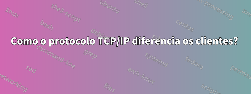 Como o protocolo TCP/IP diferencia os clientes?