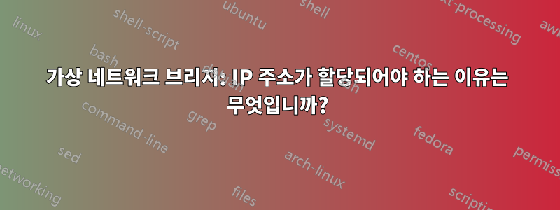 가상 네트워크 브리지: IP 주소가 할당되어야 하는 이유는 무엇입니까?