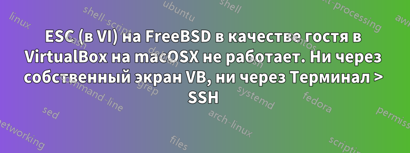 ESC (в VI) на FreeBSD в качестве гостя в VirtualBox на macOSX не работает. Ни через собственный экран VB, ни через Терминал > SSH