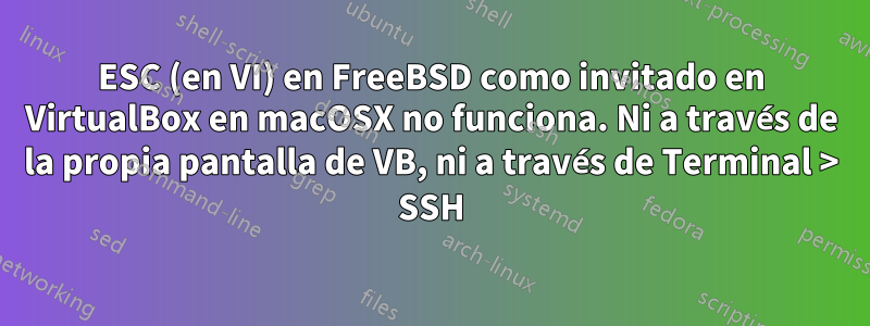 ESC (en VI) en FreeBSD como invitado en VirtualBox en macOSX no funciona. Ni a través de la propia pantalla de VB, ni a través de Terminal > SSH