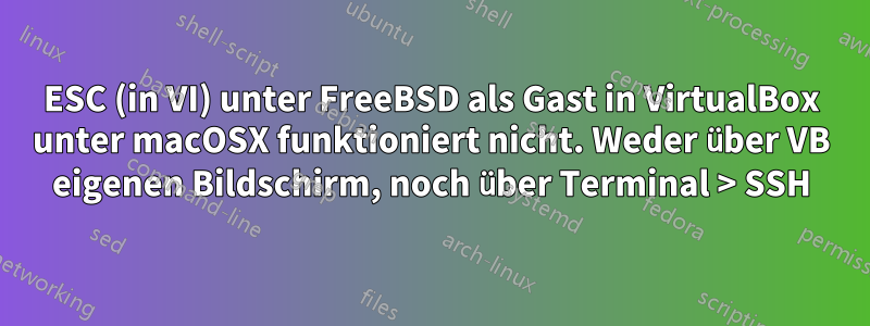 ESC (in VI) unter FreeBSD als Gast in VirtualBox unter macOSX funktioniert nicht. Weder über VB eigenen Bildschirm, noch über Terminal > SSH