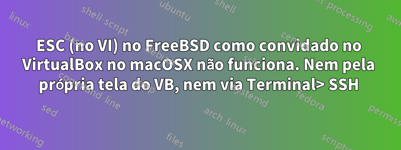 ESC (no VI) no FreeBSD como convidado no VirtualBox no macOSX não funciona. Nem pela própria tela do VB, nem via Terminal> SSH