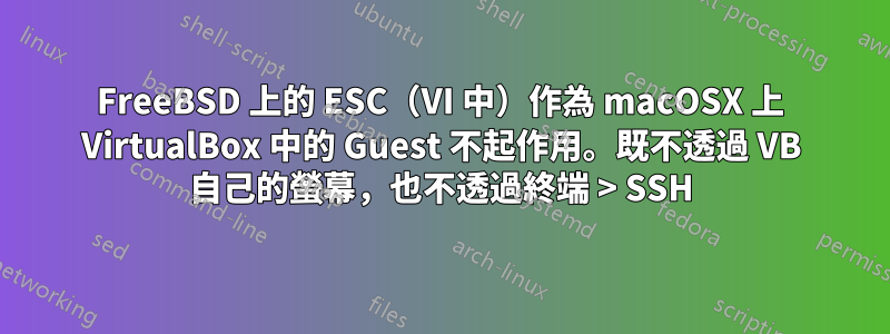 FreeBSD 上的 ESC（VI 中）作為 macOSX 上 VirtualBox 中的 Guest 不起作用。既不透過 VB 自己的螢幕，也不透過終端 > SSH