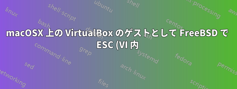 macOSX 上の VirtualBox のゲストとして FreeBSD で ESC (VI 内) が機能しません。VB の画面でも、ターミナル > SSH 経由でも機能しません。