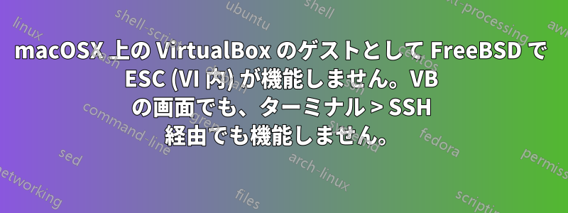 macOSX 上の VirtualBox のゲストとして FreeBSD で ESC (VI 内) が機能しません。VB の画面でも、ターミナル > SSH 経由でも機能しません。