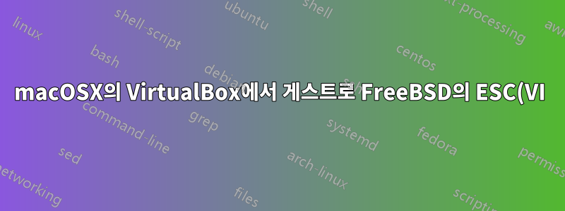 macOSX의 VirtualBox에서 게스트로 FreeBSD의 ESC(VI)가 작동하지 않습니다. VB 자체 화면이나 터미널 > SSH를 통하지 않음
