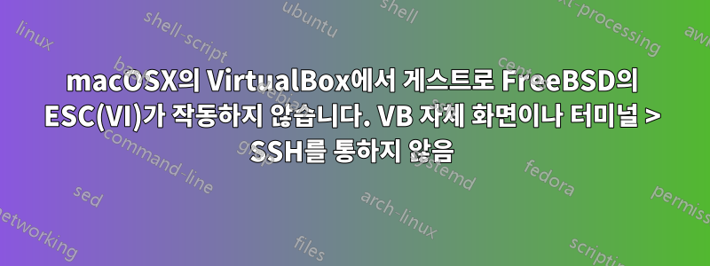 macOSX의 VirtualBox에서 게스트로 FreeBSD의 ESC(VI)가 작동하지 않습니다. VB 자체 화면이나 터미널 > SSH를 통하지 않음