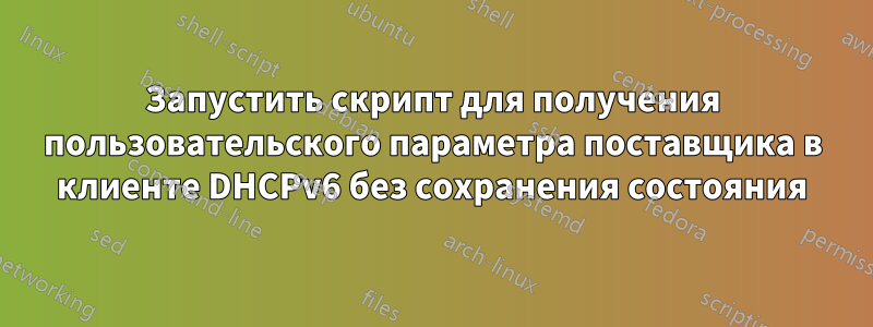 Запустить скрипт для получения пользовательского параметра поставщика в клиенте DHCPv6 без сохранения состояния