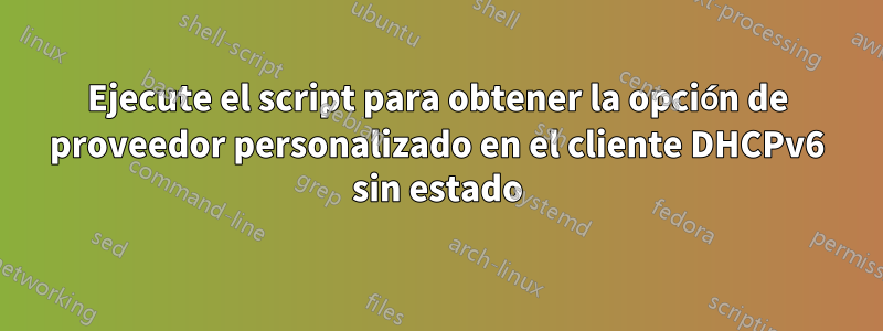 Ejecute el script para obtener la opción de proveedor personalizado en el cliente DHCPv6 sin estado