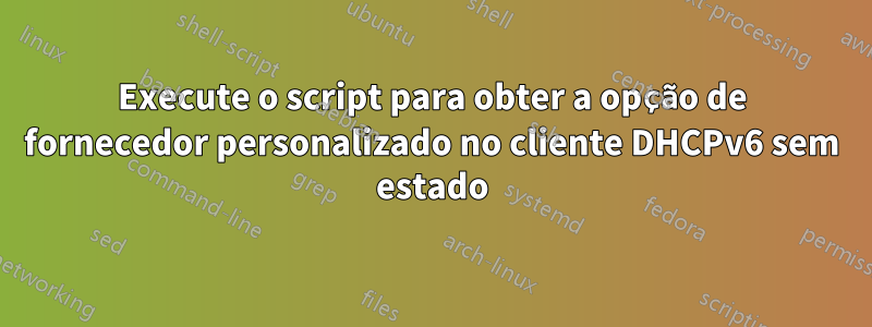 Execute o script para obter a opção de fornecedor personalizado no cliente DHCPv6 sem estado